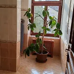 Elegant In The Center Of Apartamento *