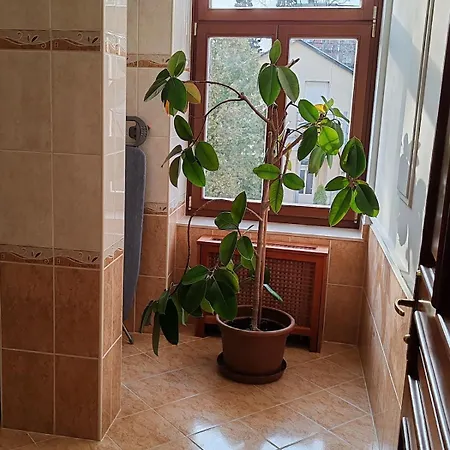 Elegant In The Center Of Daire *