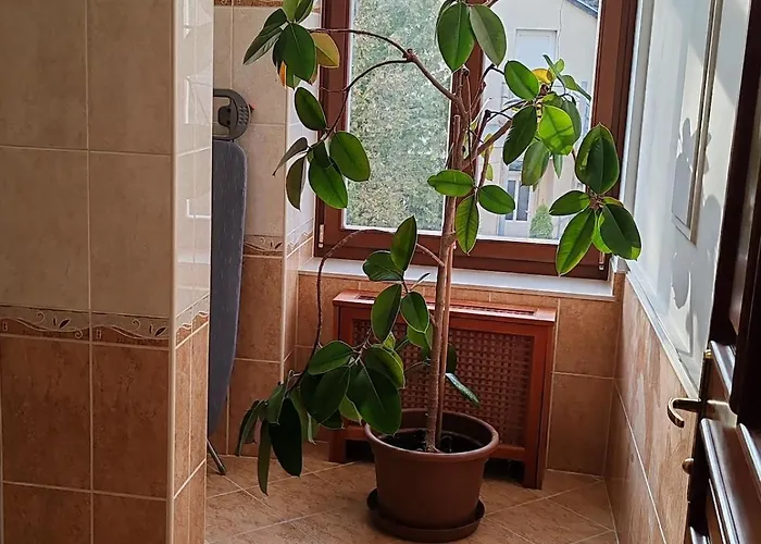 Elegant In The Center Of Apartamento *